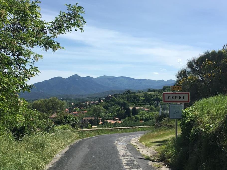 Au Coeur De Ville Avec Terrasse Céret Exteriér fotografie